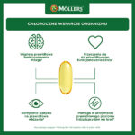 Mollers Omega 3 2000
