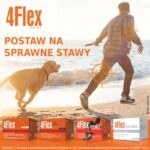 c99355eaef1432b16fc115dd1c256f94